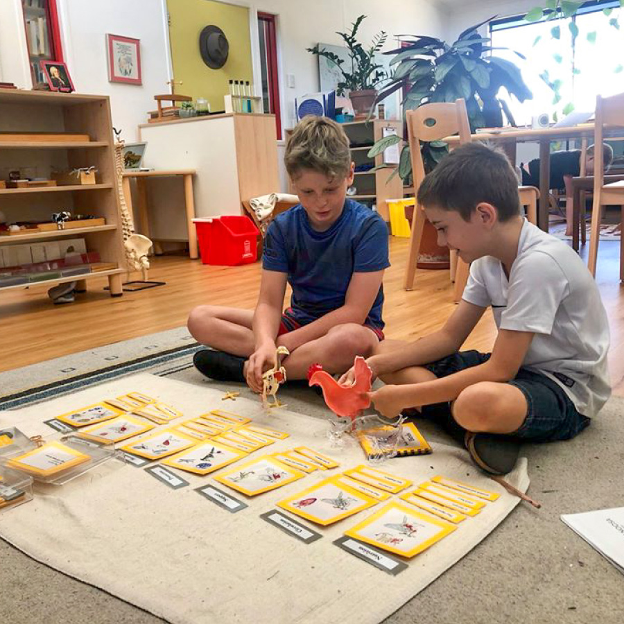 Montessori-Noosa-Image-39